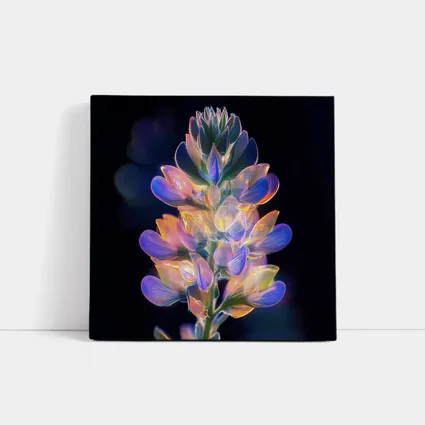 Glowing Lupin Flower Dark Background Neon