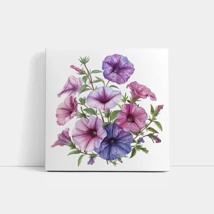 Petunia Flowers Botanical Illustration Pink Purple