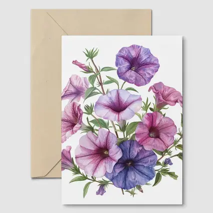 Petunia Flowers Botanical Illustration Pink Purple