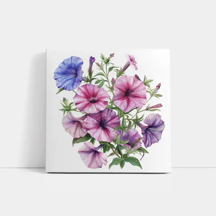 Petunia Flowers Botanical Watercolor Art Purple Pink