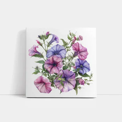 Petunia Flowers Watercolor Botanical Art White
