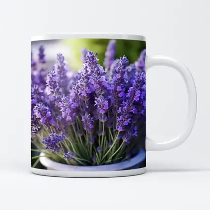 Lavender Flowers In White Pot Garden