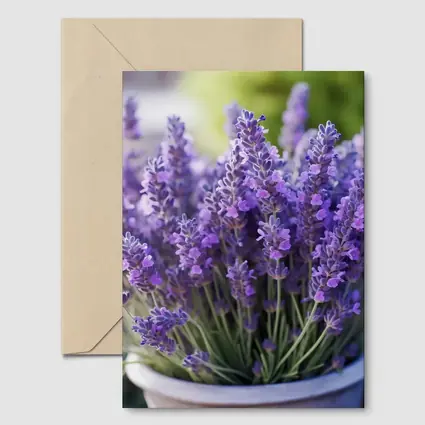 Lavender Flowers In White Pot Garden