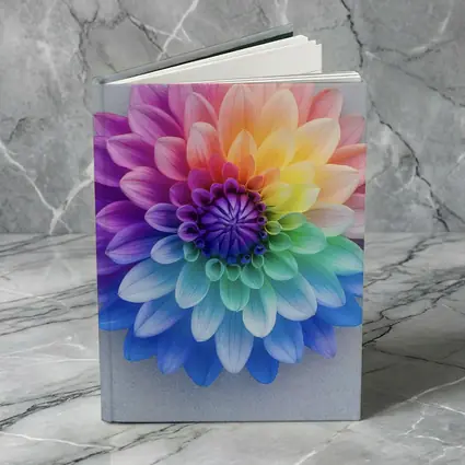 Rainbow Dahlia Flower on Light Gray Background