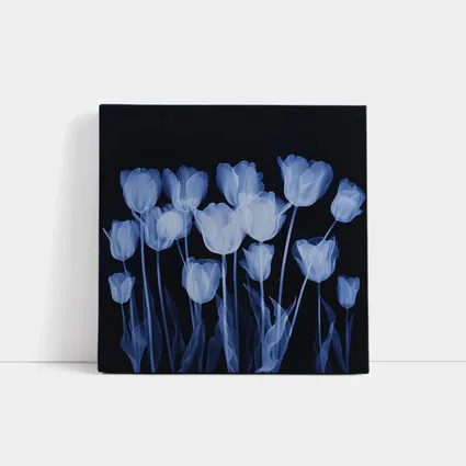 Blue Tulips Glowing On Dark Background