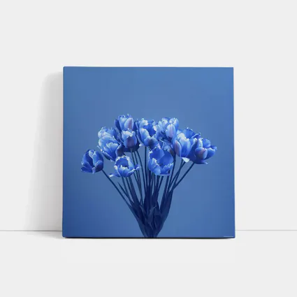 Blue Tulips Bouquet on Blue Background