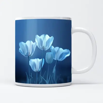 White Blue Tulips Soft Blue Background
