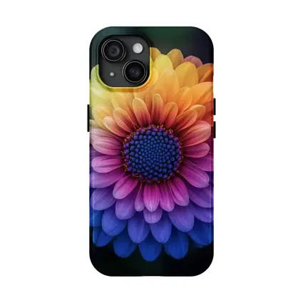 Rainbow Chrysanthemum Flower Dark Background