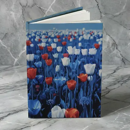 Red White Blue Tulips Field Clear Sky
