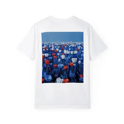 Red White Blue Tulips Field Clear Sky