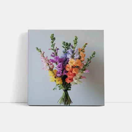 Colorful Snapdragon Bouquet Against Gray Background