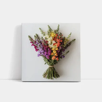 Colorful Snapdragon Bouquet On White Background