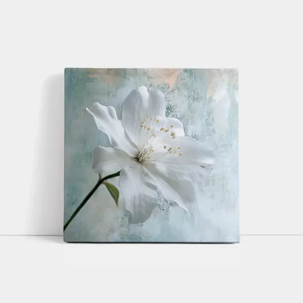 White Clematis Flower Teal Textured Background