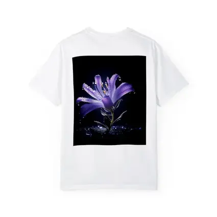 Purple Lily Flower Dark Black Background