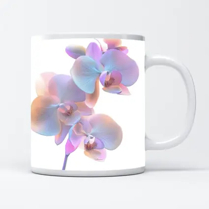 Pastel Orchid Flowers on White Background