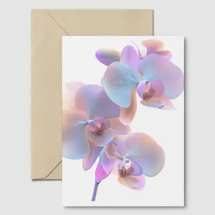 Pastel Orchid Flowers on White Background