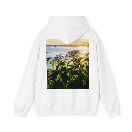 Blue Wildflowers Glowing Coastal Sunset Scene