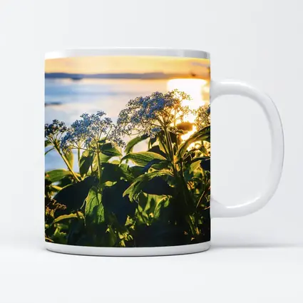Blue Wildflowers Glowing Coastal Sunset Scene