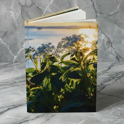 Blue Wildflowers Glowing Coastal Sunset Scene