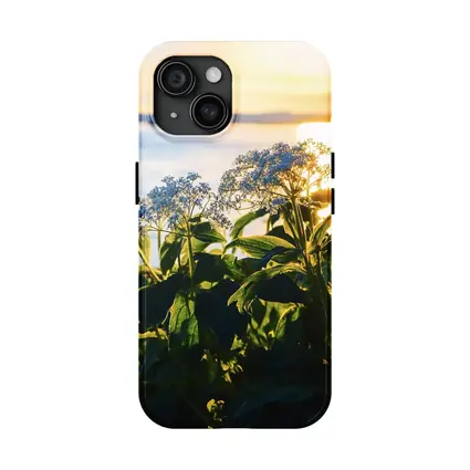 Blue Wildflowers Glowing Coastal Sunset Scene