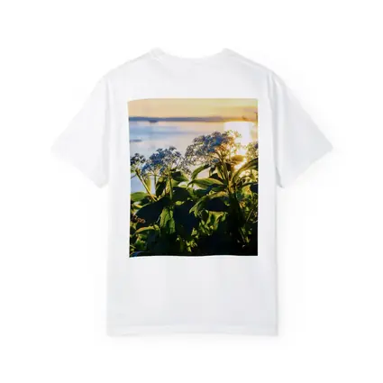 Blue Wildflowers Glowing Coastal Sunset Scene