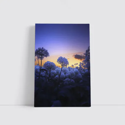 Blue Flowers Glowing Against Sunset Sky