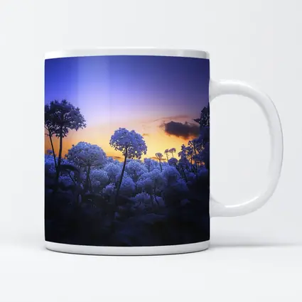 Blue Flowers Glowing Against Sunset Sky