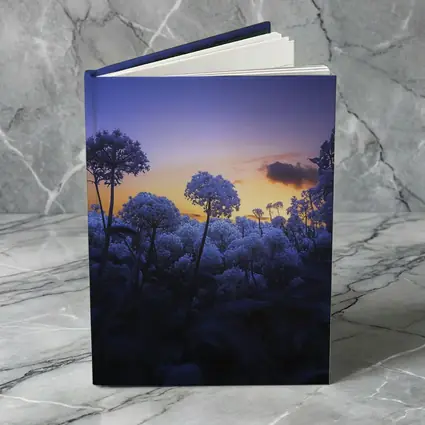 Blue Flowers Glowing Against Sunset Sky