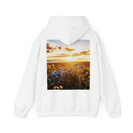 Blue Wildflowers Field Golden Sunset Sky