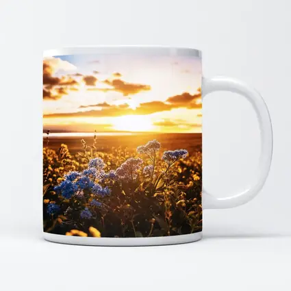 Blue Wildflowers Field Golden Sunset Sky