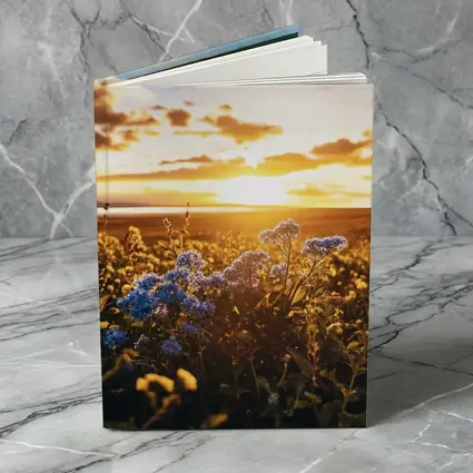 Blue Wildflowers Field Golden Sunset Sky