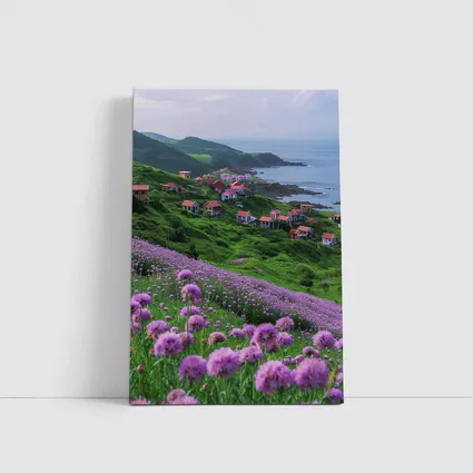Purple Allium Flowers Coastal Village Green Hills