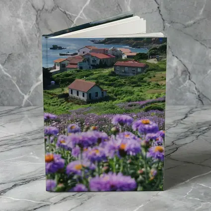 Purple Wildflowers Coastal Village Ocean View