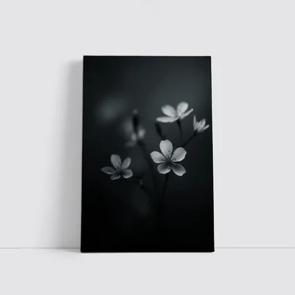 Dark Moody Black White Wildflowers Close Up