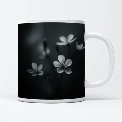 Dark Moody Black White Wildflowers Close Up