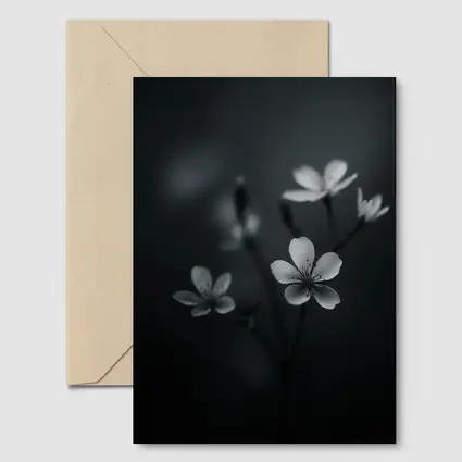 Dark Moody Black White Wildflowers Close Up