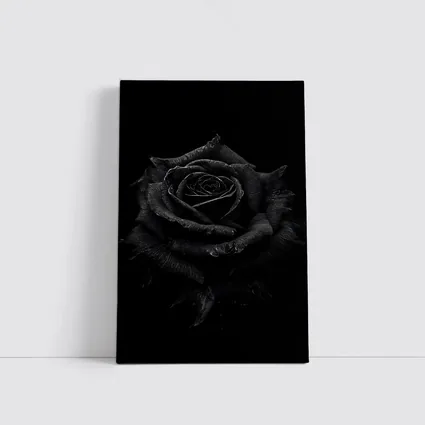 Black Rose Dark Moody Floral Photography