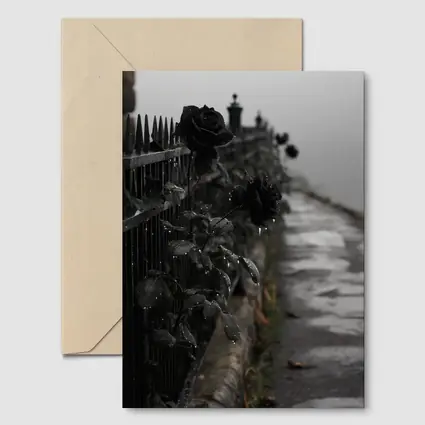 Black Roses on Iron Fence Foggy Street