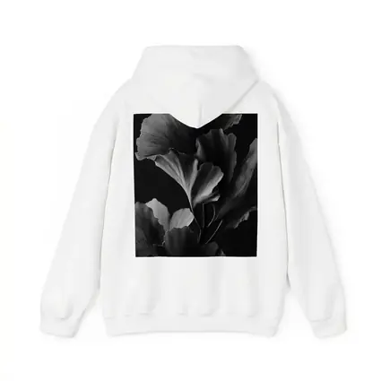 Ginkgo Leaves Black and White Dark Background