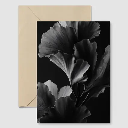 Ginkgo Leaves Black and White Dark Background