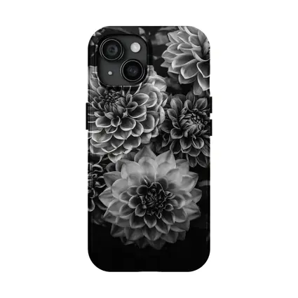 Black and White Dahlia Flowers Dark Background