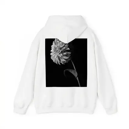 Black And White Dahlia Flower Dark Background