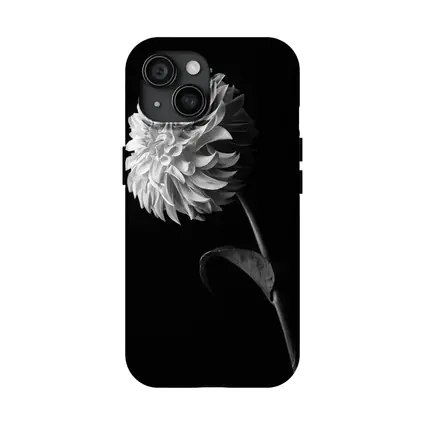 Black And White Dahlia Flower Dark Background
