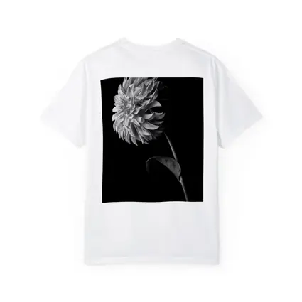 Black And White Dahlia Flower Dark Background