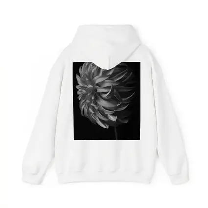 Black and White Dahlia Flower Dark Background