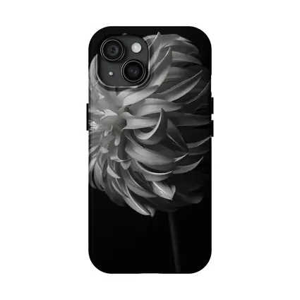 Black and White Dahlia Flower Dark Background