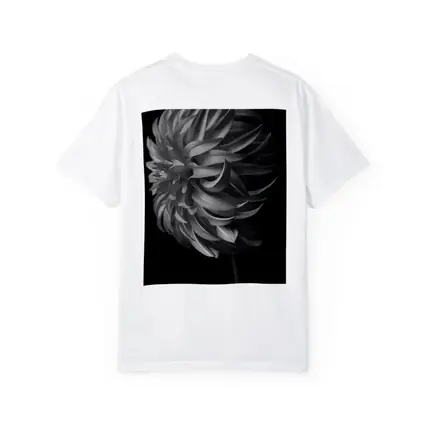 Black and White Dahlia Flower Dark Background