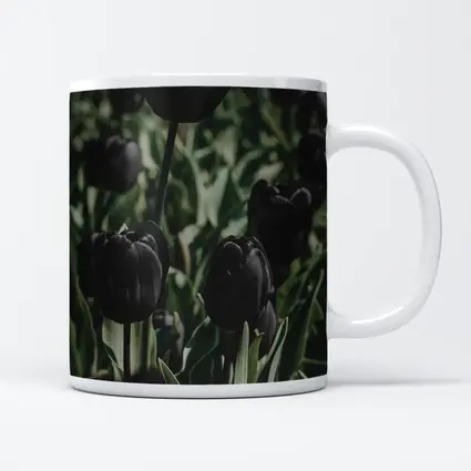 Black Tulips Dark Moody Garden Field