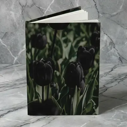 Black Tulips Dark Moody Garden Field