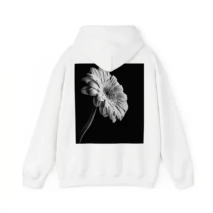 Gerbera Daisy Black White Moody Photography
